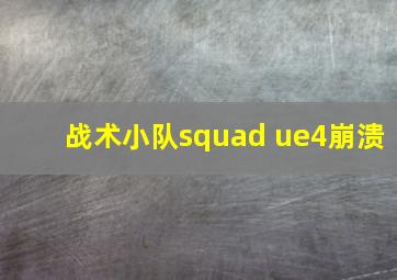 战术小队squad ue4崩溃